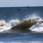 whale and surf boarders in Rockaway