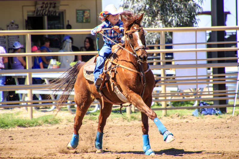 barrel racing red white and blue hat